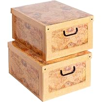 Set 4 Scatole Armadio Con Coperchio - Organizer In Cartone 35x25x17.5 Cm, Peonie, Made In Italy