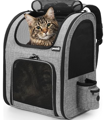 anxuan portable travel pet carrier backpack ANXUAN Portable Travel Pet Carrier Backpack,Space Capsule Bubble  Design,Waterproof Handbag Backpack for Cat and Small Dog,Airline Approved Pet  Backpack Carrier (Yellow) : Amazon.co.uk: Pet Supplies