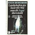 Drewermann, Landschaften der Seele / Landschaften der Seele oder: Wie man die Angst überwindet: Grimms Märchen tiefenpsycholo