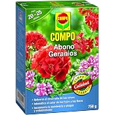 COMPO 2655302011 Geranium Fertilizer, Suitable for Other Flower Plants | Formula with magnesium and sulfur for vigorous flowe