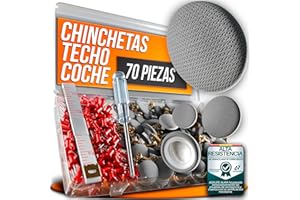 ASSURE AURA Kit 70 Chinchetas Techo Coche Gris – Repara Techo Caído Rápido y Fácil – Incluye Hebillas Tornillos Destornillador Metro – Grapas y Chinchetas Tapicería Tela Techo Coche