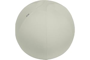 Leitz 65420085 - Balón de Asiento Ergo Active con Tope Antideslizante, Diámetro 65 cm, Asa de Transporte, Incluye Bomba y Tapones, Funda Lavable, Soporta 150 kg, Color Gris