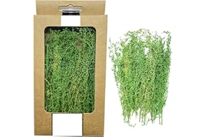 Cayway Touffes D'herbe Statique, D'herbe pour Modélisme, Touffe D'herbe Statique Herbe pour Le Bricolage Architecture Bâtiment Jardin Paysage, Herbe Verte