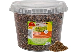 UGF UNDERGROUND FOOD UGF - Petit seau séché de 3 l (400 g) - Pour griller les insectes, les oiseaux sauvages toute l'année - Nourriture pour tortues, hérissons, lézards, poissons