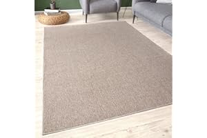 THE RUGS Low Pile Area Rugs – Modern Indoor Rugs for Living Room, Bedroom, Dining Room, Entryway – Non-Shedding (Beige, 80x150 cm)