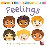 Feelings: A lift-the-flap board book of emotions