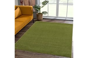 SANAT Dywan z krótkim włosiem do salonu – uniwersalny, nowoczesny dywan do sypialni, gabinetu, biura, korytarza, pokoju dziecięcego i kuchni – zielony, 120 x 170 cm