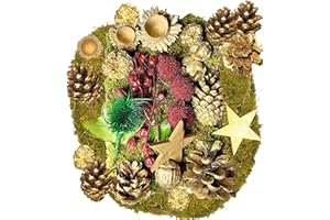 ENDLOS SCHENKEN Potpourri natalizio con pigne, stelle di cocco, semi di cipresso e muschio, decorazione naturale per corone dell’Avvento (Deko 3)