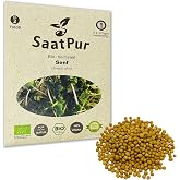 SaatPur Mustard Organic Sprouts - Sprouts Microgreens - 50 g