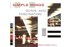 Sons and Fascination / Sister Feelings Call