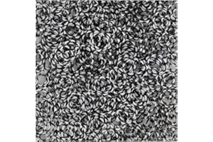 Lily Collection 200 Loom Bands Rubber Bands 5500 Starter Set Pendant Charms Beads DIY (200 x Black White Stripes)