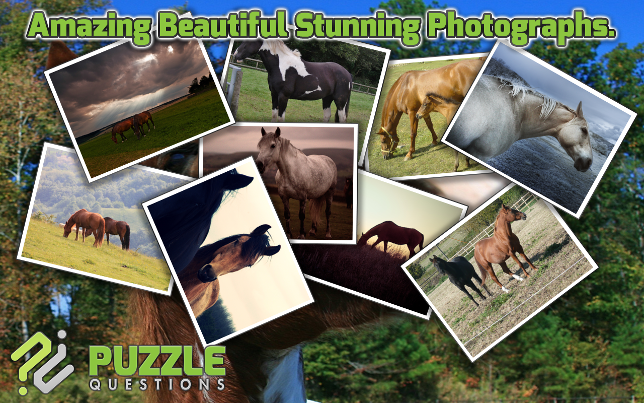 Horse Jigsaw Puzzle Games Amazon.co.uk Apps & Games