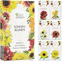 OwnGrown Bienenwiese Blumenmischung Premium Bienen Saatgut