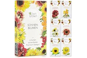Sonnenblumen Samen Set – Saatgut mit 6 Sorten, inkl. Riesige & Kleine Blüten – Blumen Geschenkbox mit Blumensaat von OwnGrown