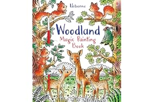 Woodland Magic Painting: 1 (Magic Painting Books)