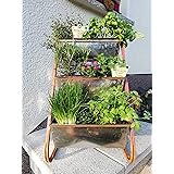 Novaliv Pflanzregal mit 3 Pflanzkästen I verzinkt I Pflanzgestell Balkon Hochbeet Blumenkastenhalter Vertikalbeet Kräuterturm