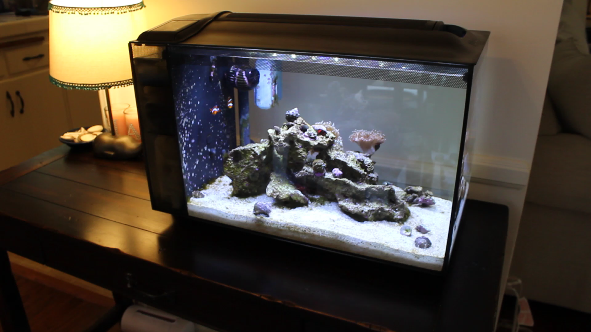 Get Encantament sota les decoracions marines For Android Free Encantament Sota Les Decoracions Marines