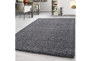 Teppium Tapis Salon 160x230 cm Moderne Adulte Tapis Chambre Gris - Shaggy Tapis Poil Long Salle de Séjour Concevoir Unicolore Tapis Moelleux et Doux - Tapis Cuisine Moquette Salon