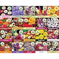 ONLY FOR ORGANIC 20 Winter Flower Seeds (4800 + Seeds) with Cocopeat Block and Instruction Manual