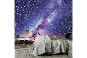 murimage Papier Peint Univers 366 x 254 cm Photo Mural Galaxie Galaxy Étoiles Ciel nocturne Nuit Jeunesse Cuisine wallpaper colle inclus …