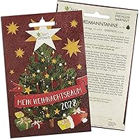 Nordmanntanne zum Pflanzen: Mein Weihnachtsbaum 2028 – Premium Weihnachts Samen für 5x Nordmanntanne Weihnachtsbaum…