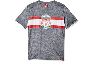 Icon Sports T-Shirt à Manches Courtes pour Homme Manchester City F.C. T-Shirt de Football pour Adulte (Lot de 1)