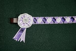 IV Horse Velvet and Sparkly Glitzy Bling Ribbon Browbands and Mini Rosettes