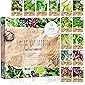BIO Salat Samen Set - 14 Sorten Salatsamen aus biologischem Anbau I samenfestes Salat Saatgut I Bio Salat Set für Balkon…