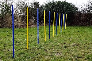 Wuzzmann Trading Agility-ÜBUNGS-Slalom-Set BLAU/GELB Flexible, RUNDE STANGEN