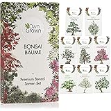 Bonsai Samen Set: Premium Bonsai Starter Kit mit 8 Sorten Bonsai Saatgut – Bonsai Anzuchtset zum Bonsai Züchten für den Mini 