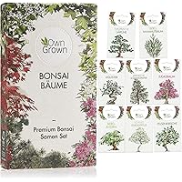 Bonsai Samen Set: Premium Bonsai Starter Kit mit 8 Sorten Bonsai Saatgut – Bonsai Anzuchtset zum Bonsai Züchten für den…