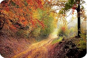 Autumn Delight - Glass Worktop Saver/Protector | Cutting Board - by Pearl Glass (60 x 40cm Extra Large)