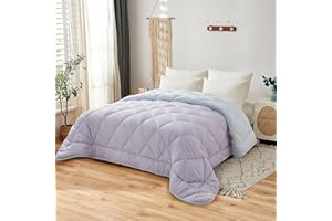 NH NOVOTEXTIL HOGAR Edredón Microfibra Bicolor. Largo 270CM (Purpura/Ice, Cama 180 260X270)