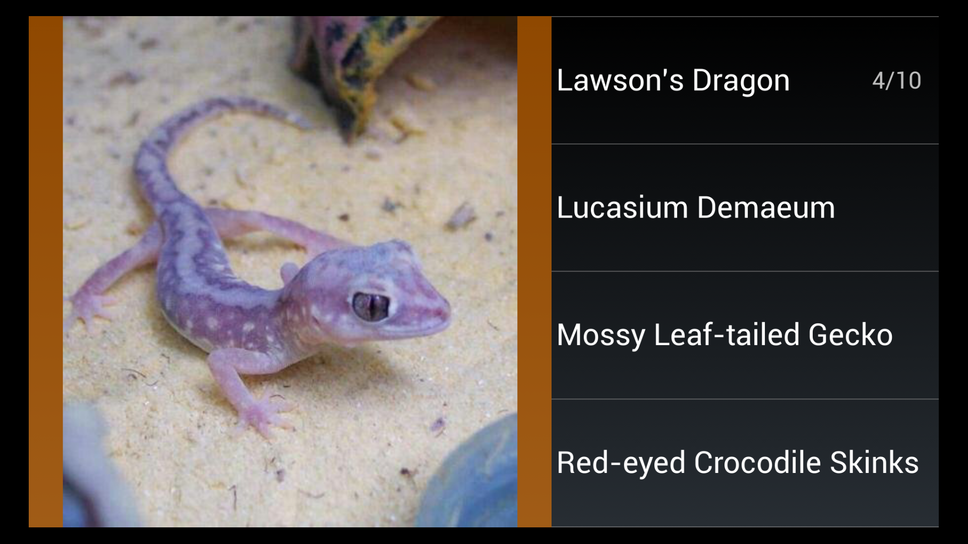 Reptile Species Trivia Quiz Amazon.co.uk Appstore for Android