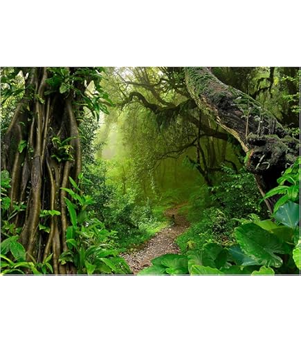Fotobehang - Vlies Behang - Uitzicht Op De Waterval In De Jungle Vanuit Het Raam 3d 368 X 254 Cm