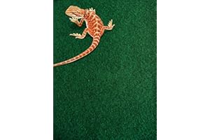 Komodo Alfombra de Piel de Serpiente,