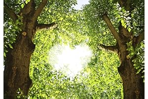 decomonkey - Papier Peint Intissé Foret 250x175 cm - Panoramique Image XXL Maison Chambre Déco Photo Murale Décorative Tenture Murale pour Appartement Décoration Salon