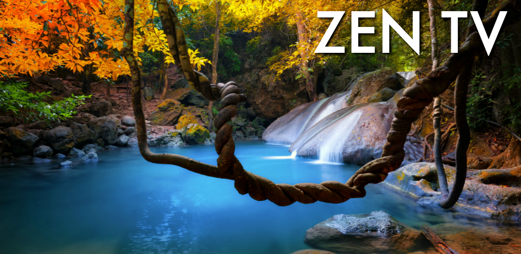 Zen TV Amazon.fr Appstore pour Android