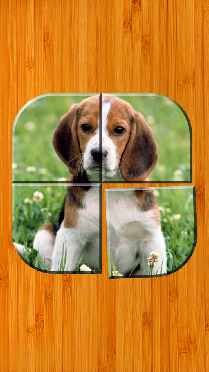 Best Dog Puzzle Games Free Amazon.co.uk Apps & Games