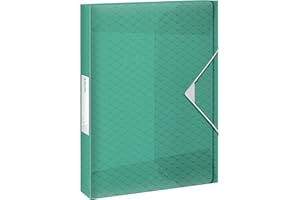 LEITZ Esselte - Boîte de Classement A4, Capacité 200 Feuilles, Dos de 25 mm, Pochette de Rangement Translucide pour Documents, Maison / Bureau, Motif Texturé, Gamme Colour'Breeze, Vert, 626260