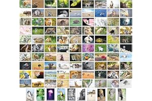 Bear and Bee 100 Tierpostkarten mit 100 verschiedenen Motiven Postkarten Tiere (100 Fotokarten)