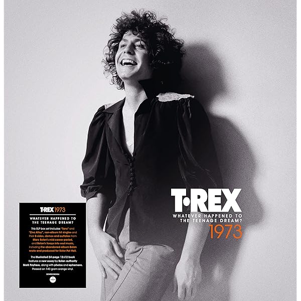 The Studio Albums 1970 - 1977: T. Rex: Amazon.es: CD y vinilos}