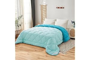 NH NOVOTEXTIL HOGAR Edredón Microfibra Bicolor. Largo 270CM (Celeste/Lago, Cama 150 250X270)