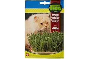 SEMILLAS FITÓ Eurogarden - Semillas de Hierba para Gatos, Planta aromática, 15 g - 4262