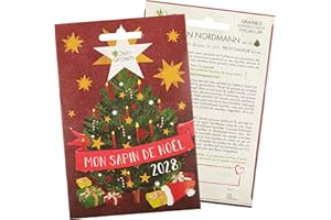 Graines de sapin Nordmann à planter: Mon arbre de Noël 2028 - Graines premium pour 5 sapins Nordmann - Graine de sapin comme plante de jardin et décoration de Noel - Kit semis de Noël par OwnGrown