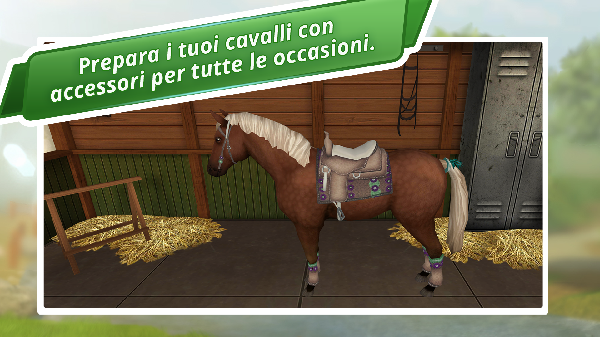 HorseWorld Il mio cavallo da sella Amazon.it App e Giochi