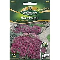 Blaukissen, Bunte Mischung