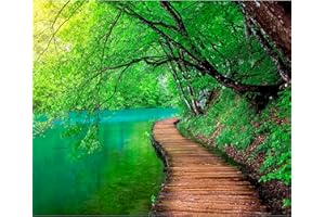 Papier peint murando intissé 350x256 cm Décoration Murale XXL Poster Tableaux Muraux Tapisserie Photo Trompe l'oeil paysage nature pont c-A-0073-a-b