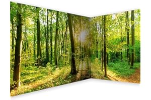 murando Eckfototapete Wald 550x250 cm Vlies Tapeten Wandtapete XXL Moderne Fototapete Wanddeko Design Wand Dekoration Wohnzimmer Schlafzimmer Büro Flur Landschaft Natur grün Baum b-B-0383-a-a