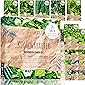 BIO Kräuter Samen Set - 14 Sorten Kräutersamen aus biologischem Anbau, samenfestes Bio Saatgut, Küchenkräuter Set für…